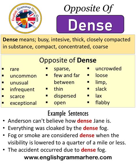 antonyms of dense